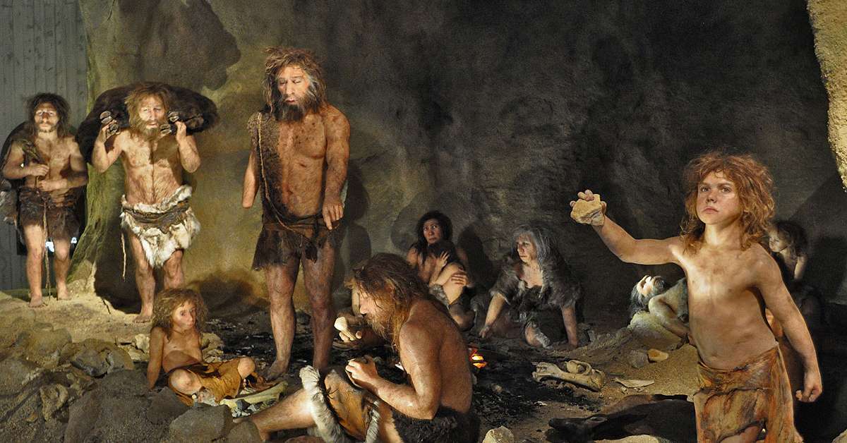 Неандертальцы могли исчезнуть без посторонней помощи