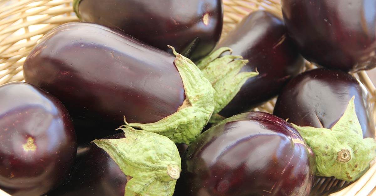 Баклажан – «ягода для сердца и сосудов»