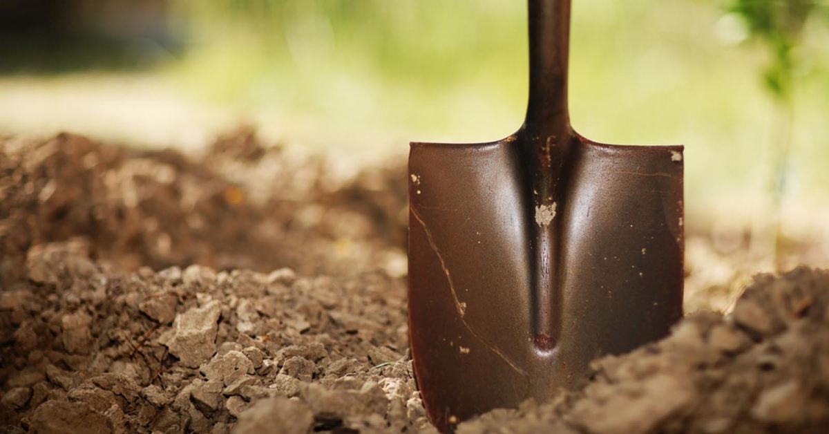 Заметки садовода: Как правильно обрабатывать почву