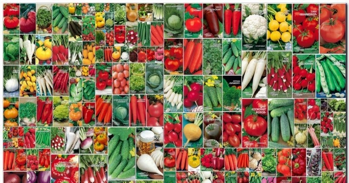 О стратификации овощных семян