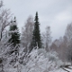 Отдых в санатории Беларуси зимой: преимущества 