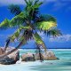 Райская Доминикана: как провести время туристу и советы бывалых