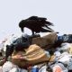 Переработка и утилизация промышленных отходов 