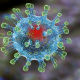 Медики рассказали, в чем разница между экспресс-тестом на антиген и ПЦР-анализом на коронавирус