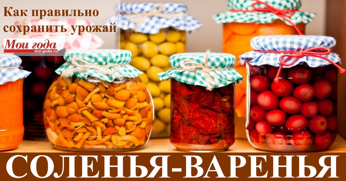 Сохрани свой урожай Сохрани свой урожай