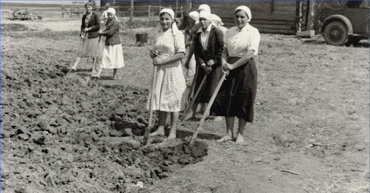 Советское общество после великой отечественной войны. Послевоенная деревня 1945-1953. Советская деревня после войны. Послевоенная повседневность. Послевоенные годы в деревне.