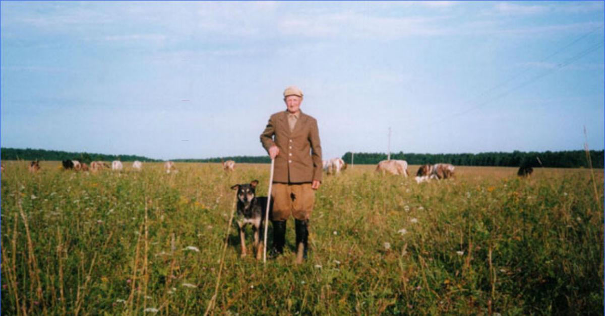 Потерял землю. Пастух в селе. Пастух в поле. Старик пастух. Дедушка в поле.