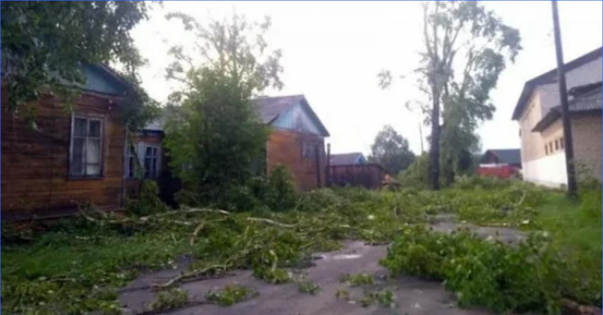Ураган архангельск. Ураган в Архангельске