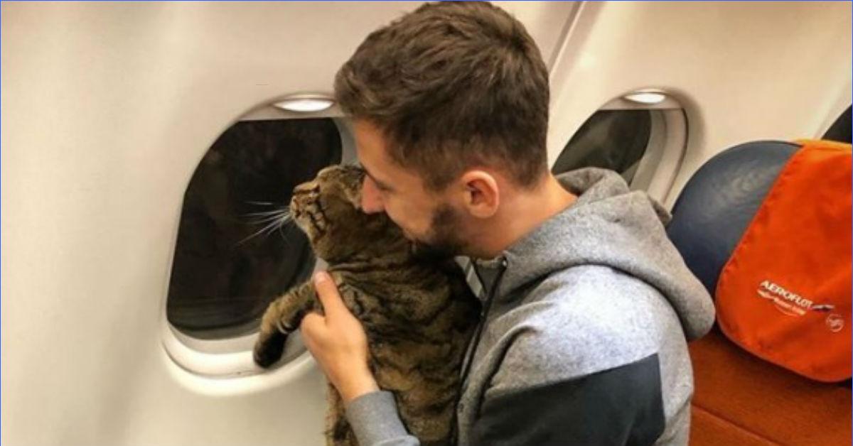Лояльность пассажиров. Кот в самолете. Котенок в самолете. Кошка в салоне самолета.