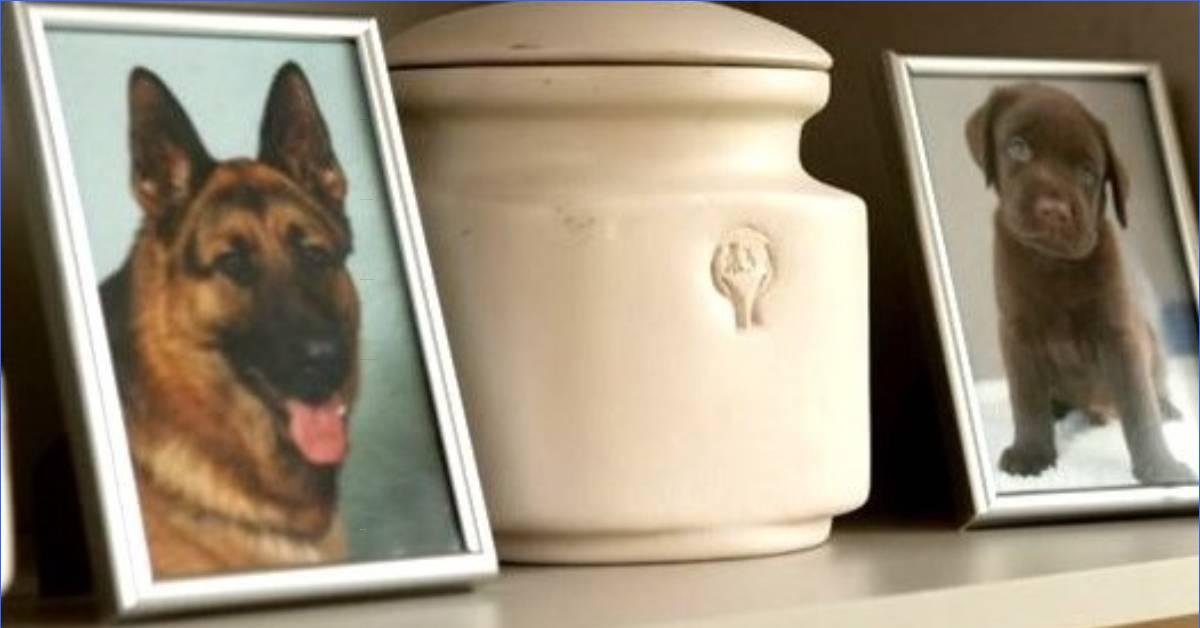 Индивидуальная кремация собаки. Урны для праха животным.