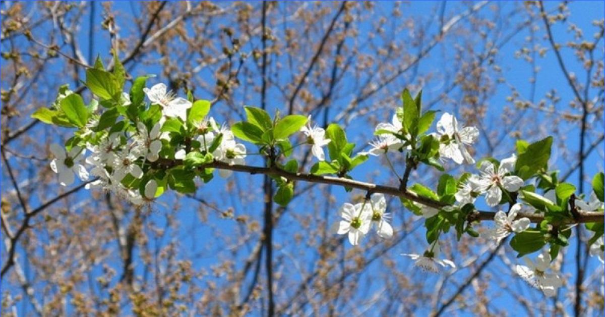 Майская погода картинки