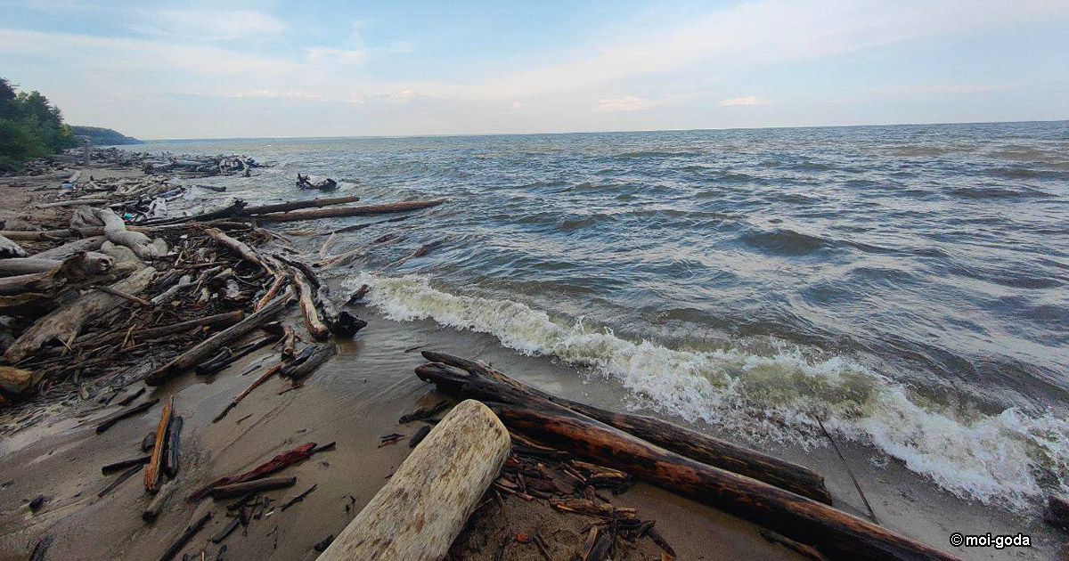 На дне Средиземного моря нашли поселение древних людей