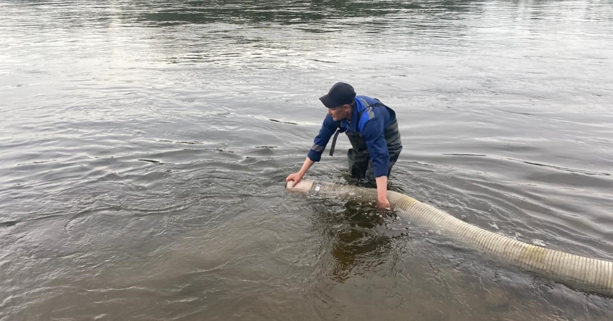 В водоёмы Сибири около 160 тыс.мальков выпустила компания «Востсибуголь»