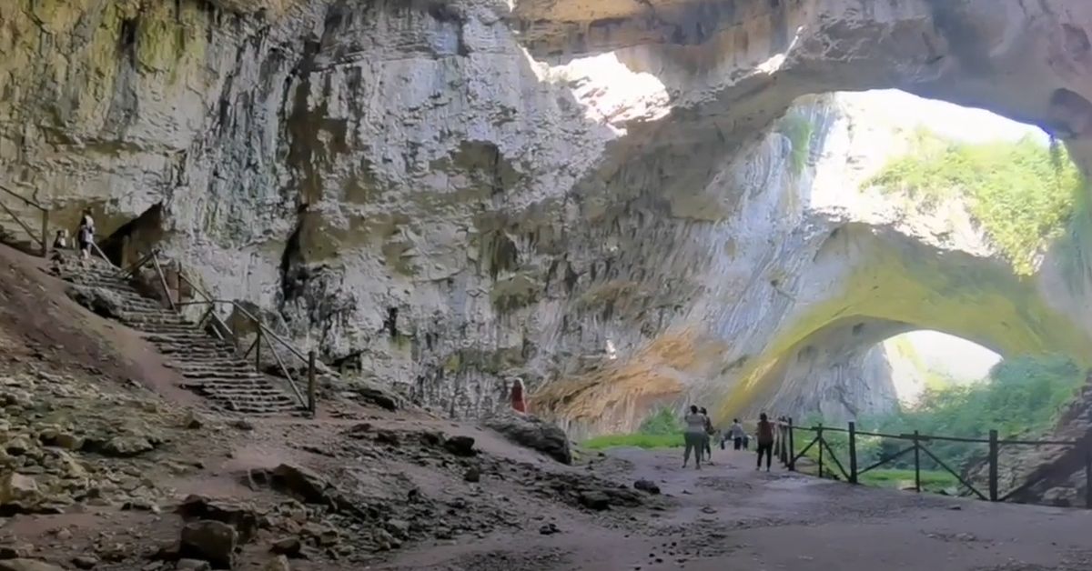 В Торжке блогер Ольга нашла пальму, а кашу сделала из сорняка