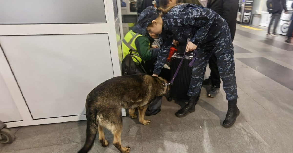 На входе в иркутский аэропорт служебная собака обнаружила наркотики в багаже 35-летнего жителя Усолья-Сибирского.