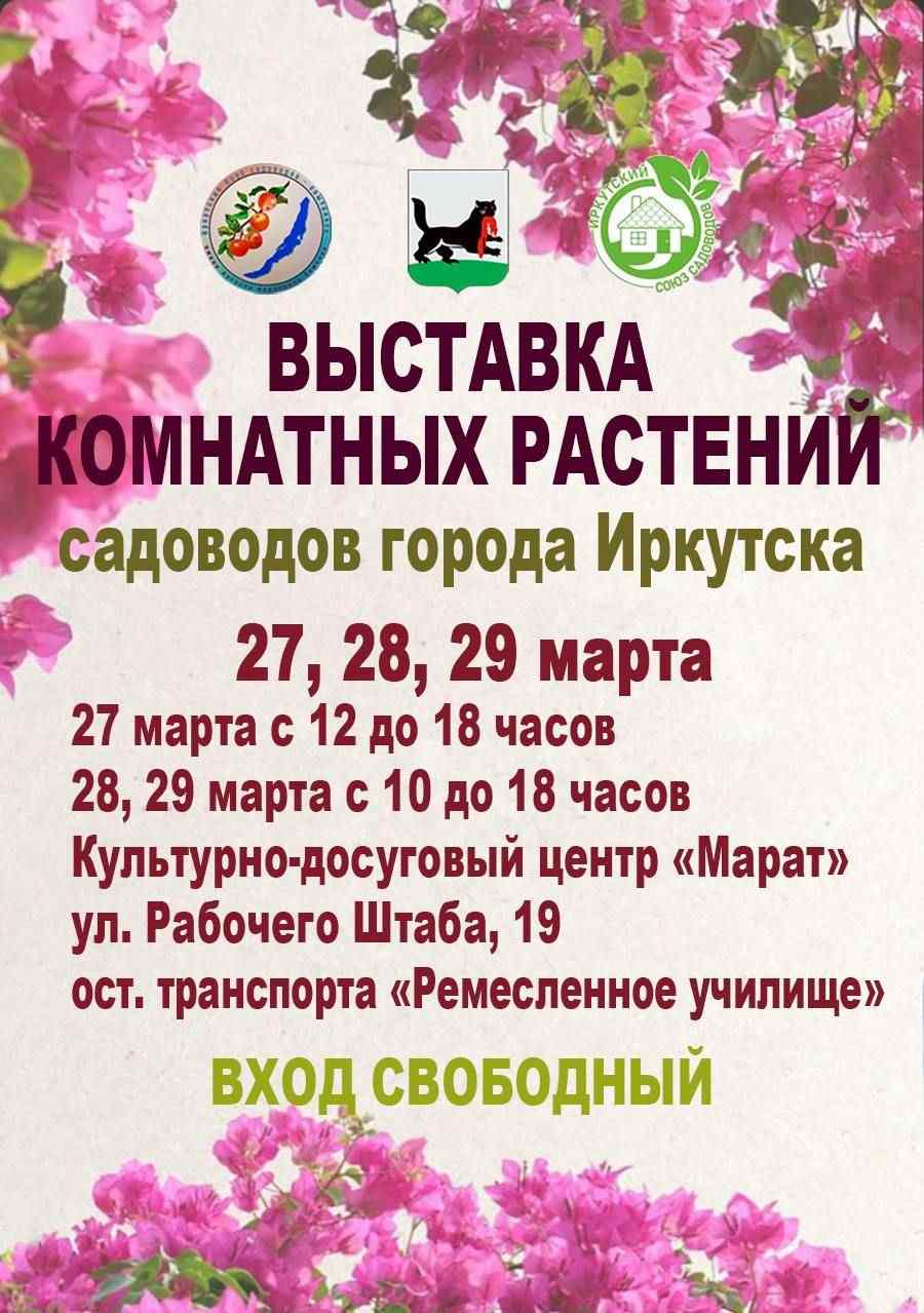 В культурно-досуговом центре «Марат» состоится выставка комнатных растений