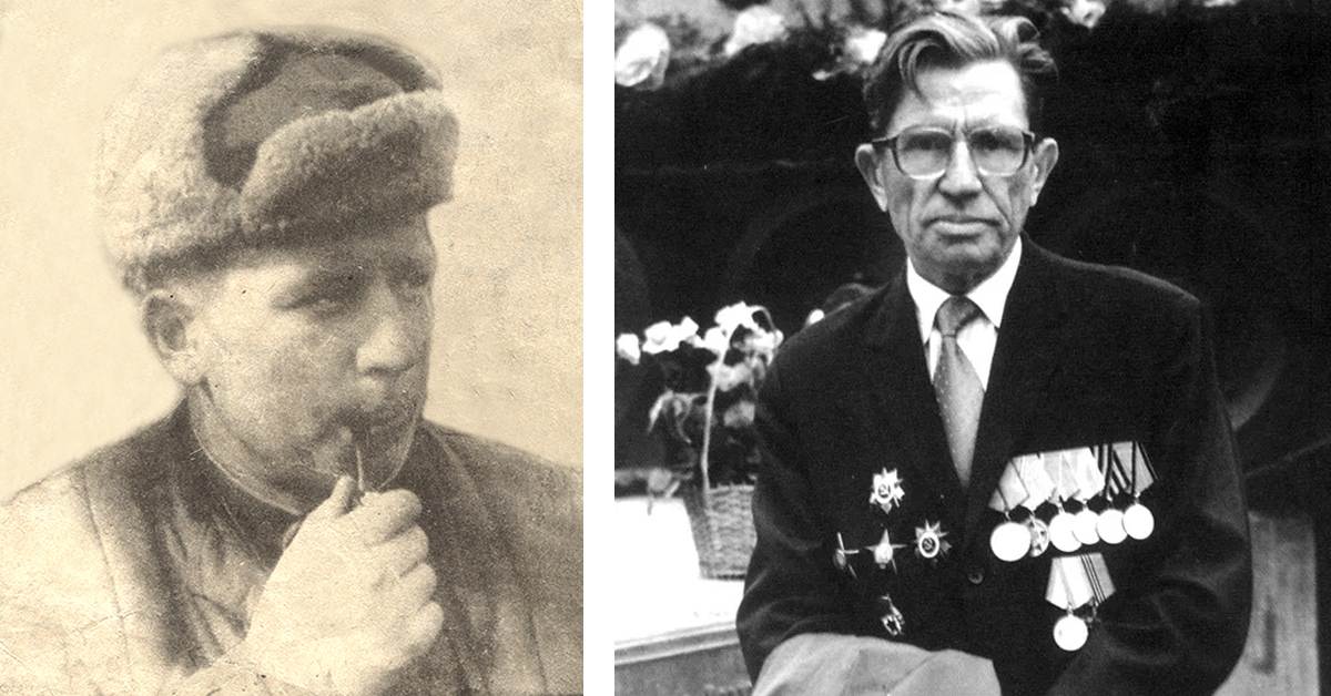 Лев принял огонь на себя
