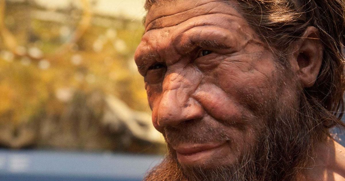 Что современные люди взяли от неандертальцев?