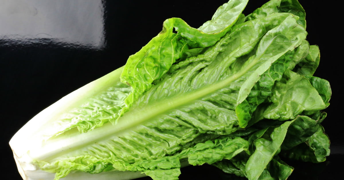 Салат — не только овощ, но и лекарство
