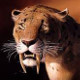 tigr sablezubii