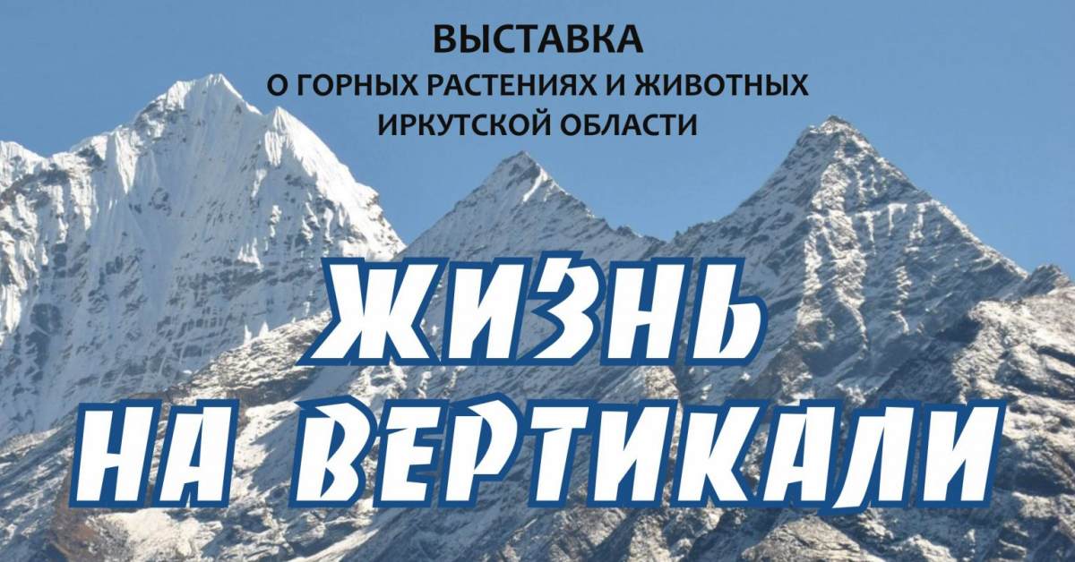 Жизнь на вертикали