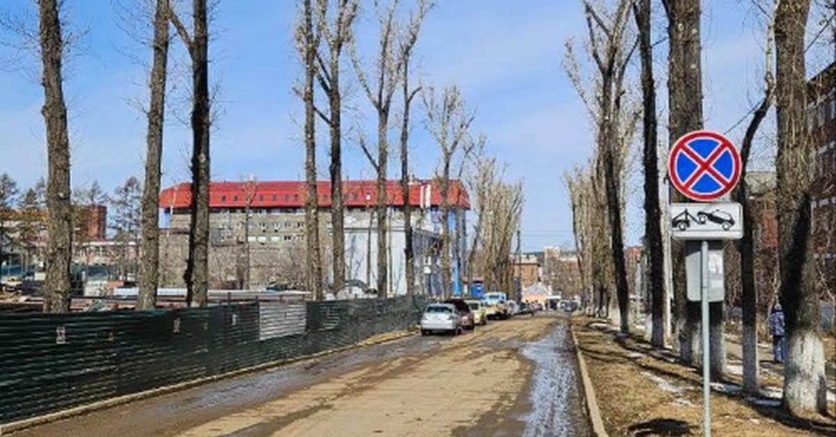 Почти 280 деревьев и кустарников планируют высадить на территории городка ИВАТУ и вдоль улицы Советской в Иркутске