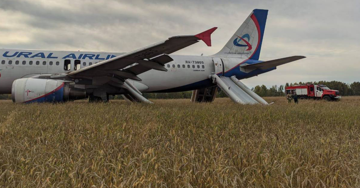 Видео: самолет сел на пшеничном поле под Новосибирском