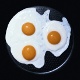 eggs 555