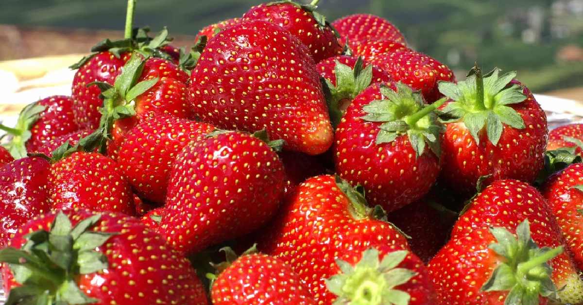Не берите слишком красивые: нутрициолог учит выбирать фрукты и ягоды весной
