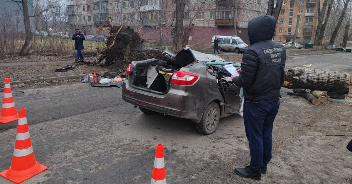 Две жизни унесло павшее на автомобиль дерево в Новокузнецке, это лишь одно из последствий урагана, прокатившегося по Сибири