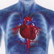 Узнать много полезной информации о сердечно-сосудистых заболеваниях можно на ресурсе соответствующей тематики